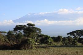 Park Narodowy Amboseli.