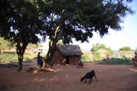Typowe domy z okolic Tsavo.