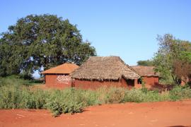 Typowe domy z okolic Tsavo.