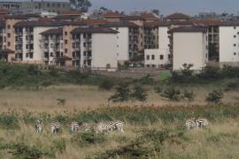 Widok na Nairobi z terenu Parku Narodowego Nairobi.