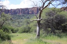 W oddali Waterberg.