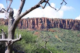 W oddali Waterberg.