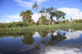 Okawango.