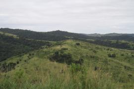 P.N. Hluhluwe.