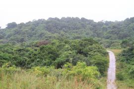 Park iSimangaliso.