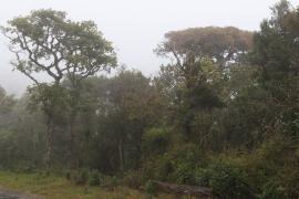 Park Narodowy Horton Plains.