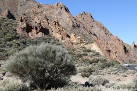 Kaldera wulkanu Teide.