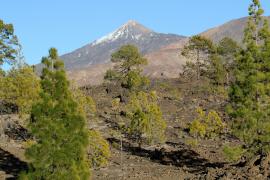 W oddali Teide.