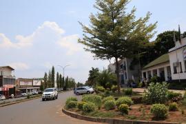 Livingstone