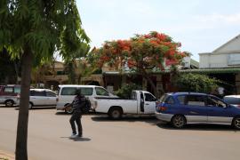 Livingstone