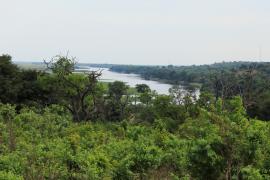 Rzeka Chobe