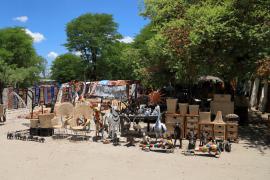 Maun