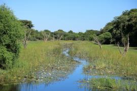 Przejazd nad Okawango