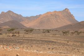 Sahara
