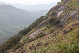 Eravikulam N.P.