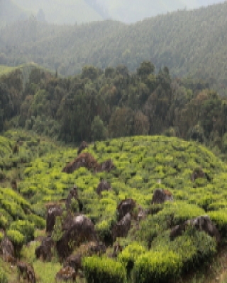 Indie kraj - Indie country