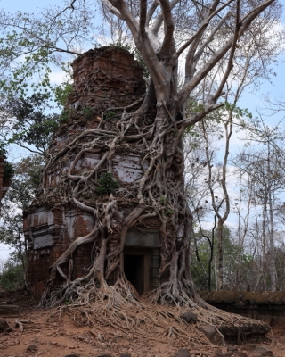 Kambodża kraj - Cambodia country