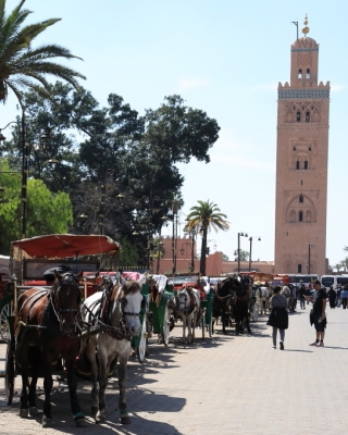 Maroko kraj - Maroko country