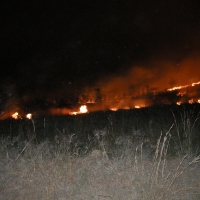 Ogień płonie wiele dni.