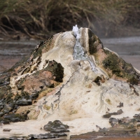 Gorące źródła w dżungli.