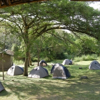 Obóz w dżungli nad rzeką Semliki.