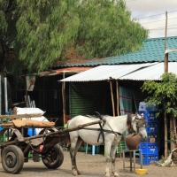 Małomiasteczkowa zabudowa.