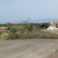 Przejazd może być zamknięty bardzo długo.