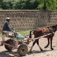 Takie pojazdy są bardzo liczne.
