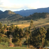 W oddali góry Bale.