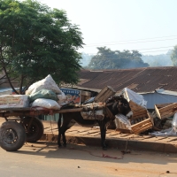 Dwukółki służą zarówno do transportu ludzi jak i towarów.