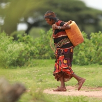 Plastikowe pojemniki ułatwiają noszenie wody.
