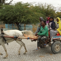 Dwukółką można przewieźć całkiem sporo osób.