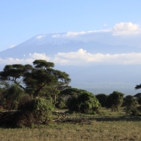 Park Narodowy Amboseli.