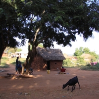 Typowe domy z okolic Tsavo.