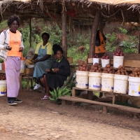 Warzywa i owoce są łatwo dostępne.