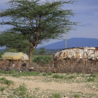 Domy Samburu.