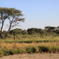 Jedynym dysonansem są kilometry płotów.