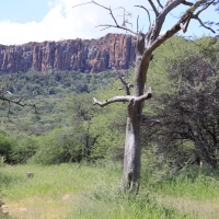 W oddali Waterberg.