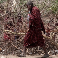 Komórki są powszechne.