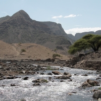 Rzeka wpadająca do jeziora.