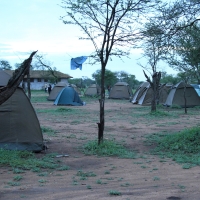 Kamping Seronera w Serengeti.
