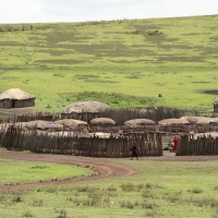 Wioska masajska w pobliżu krateru Ngorongoro.
