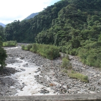 Dżungla w pobliżu stolicy kraju San Jose.