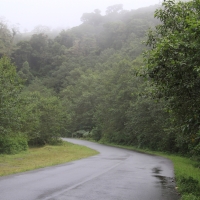 Las mglisty po karaibskiej stronie gór.