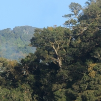 Park Narodowy El Quetzal.