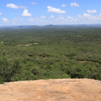 Busz w okolicach z większą ilością deszczu.