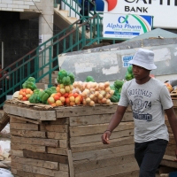 Wiele owoców i warzyw nie było nam znane.