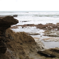 Wybrzeże Oceanu Indyjskiego jest bardzo zróżnicowane.