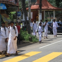 Uczniowie wychodzący ze szkoły.