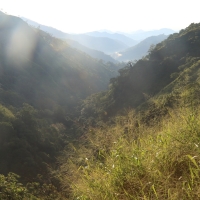 Droga do Nuwara Elya.